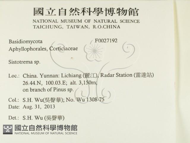登錄號:F0027192藏品圖，第2張