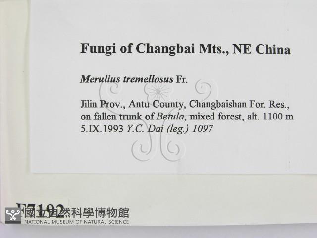 登錄號:F0007192藏品圖，第2張