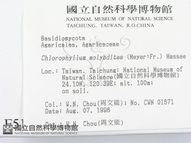 登錄號:F0005192藏品圖，第2張