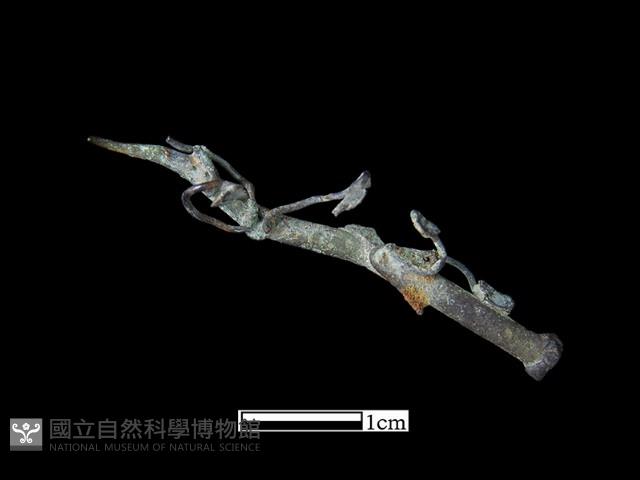 飾品藏品圖，第1張