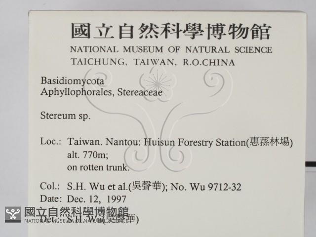 韌革菌屬藏品圖，第2張