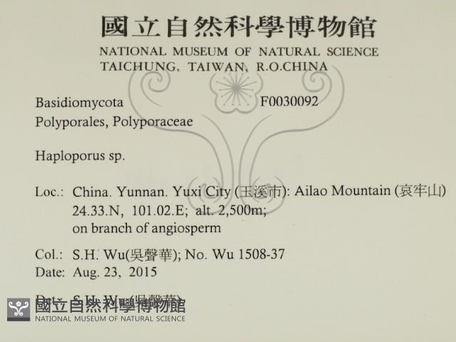 登錄號:F0030092藏品圖，第2張