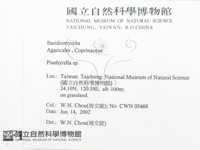 登錄號:F0016092藏品圖，第2張