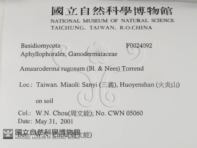 登錄號:F0024092藏品圖，第2張