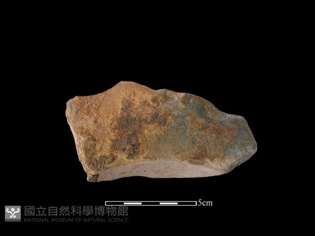 連杯形器藏品圖，第1張