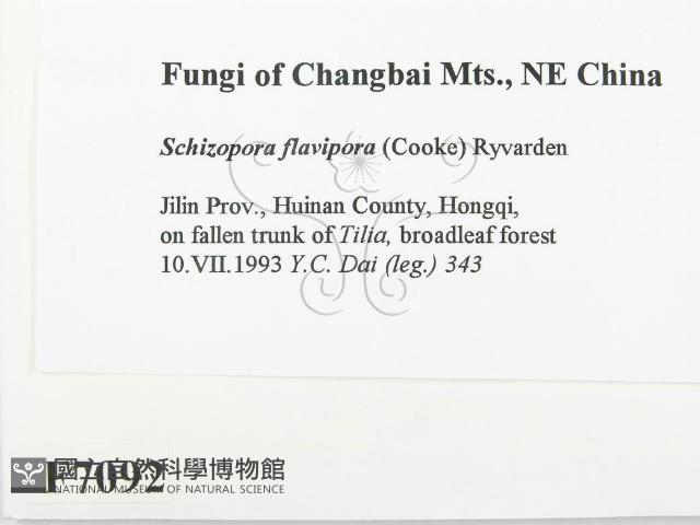 登錄號:F0007092藏品圖，第2張