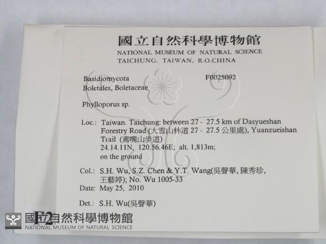 登錄號:F0025092藏品圖，第2張