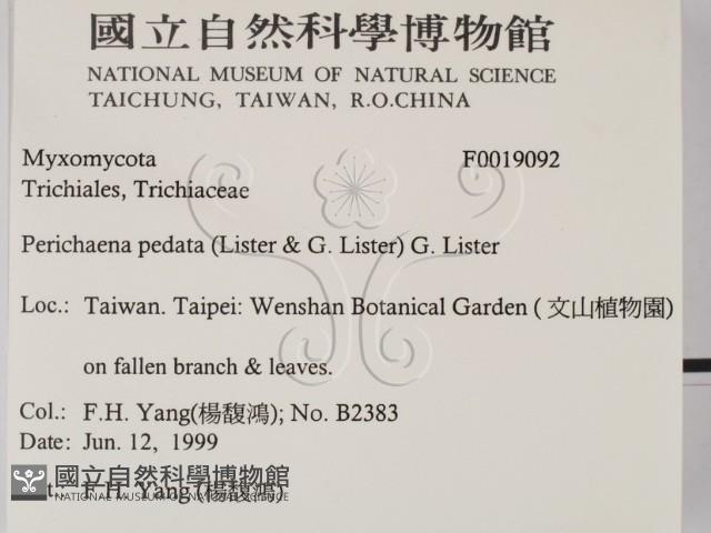 登錄號:F0019092藏品圖，第2張