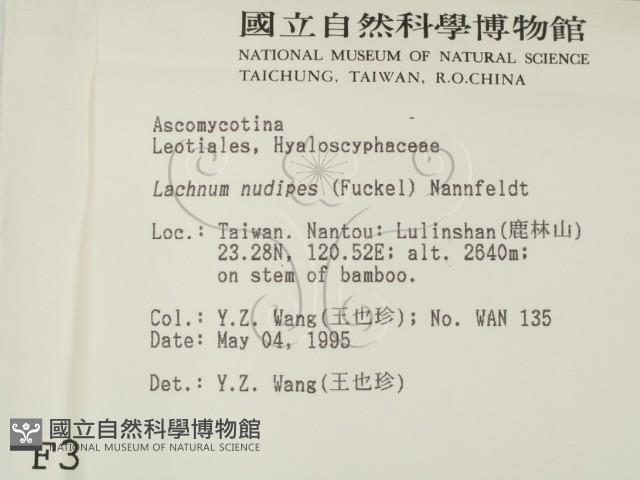 登錄號:F0003092藏品圖，第2張