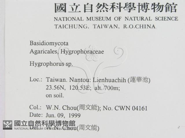 登錄號:F0013092藏品圖，第2張