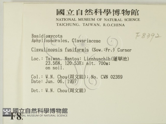 登錄號:F0008392藏品圖，第2張
