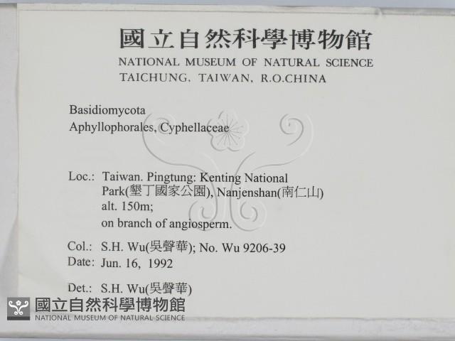 登錄號:F0000392藏品圖，第2張