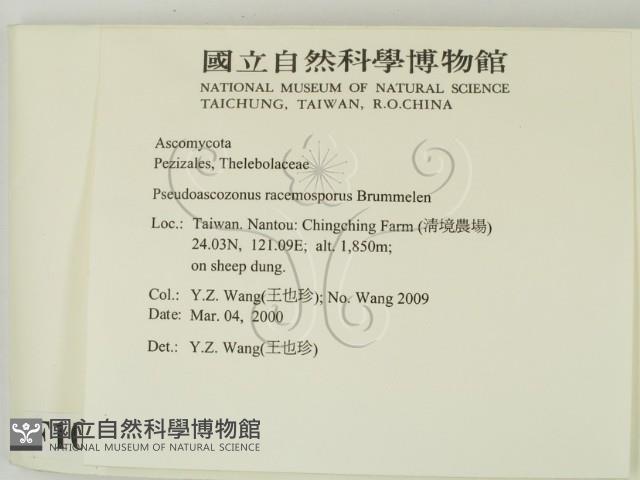 登錄號:F0010392藏品圖，第2張