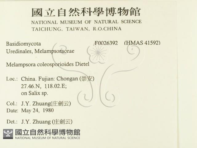 登錄號:F0026392藏品圖，第2張