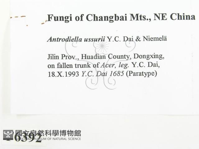 登錄號:F0006392藏品圖，第2張