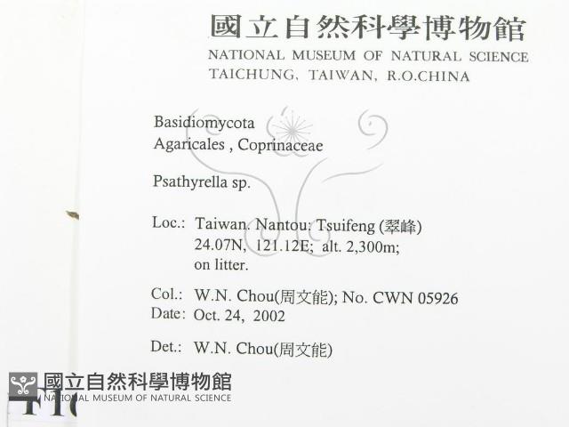 登錄號:F0016392藏品圖，第2張