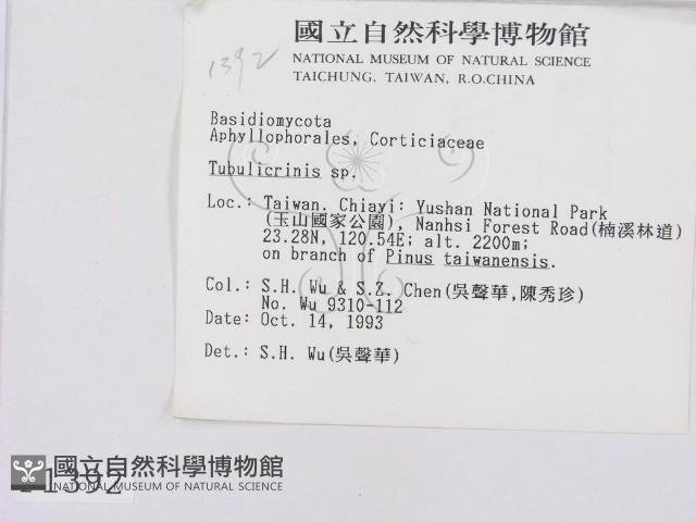 登錄號:F0001392藏品圖，第2張