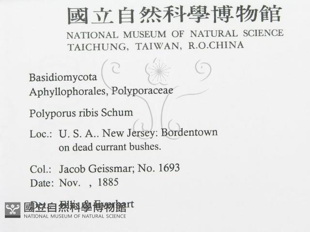 登錄號:F0011392藏品圖，第2張