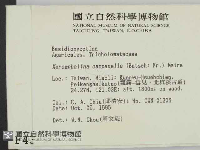 登錄號:F0004392藏品圖，第2張