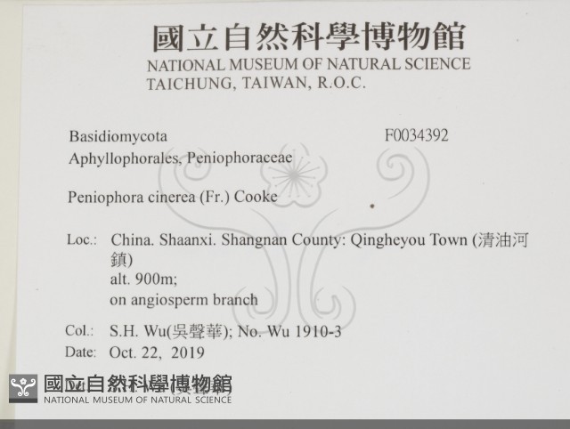 登錄號:F0034392藏品圖，第2張