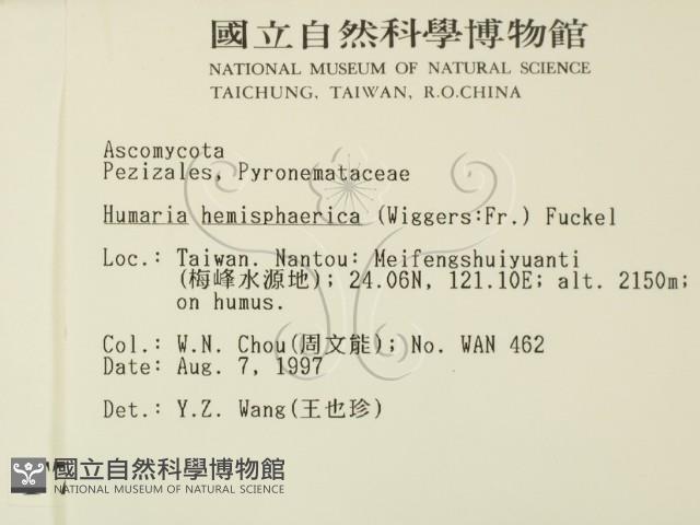 登錄號:F0007392藏品圖，第2張