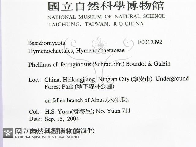 登錄號:F0017392藏品圖，第2張