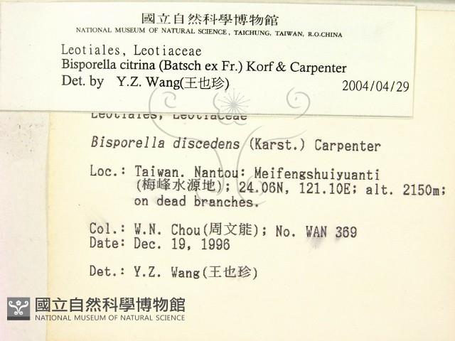 登錄號:F0005392藏品圖，第2張