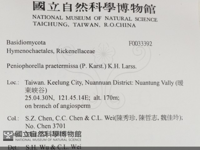 登錄號:F0033392藏品圖，第2張