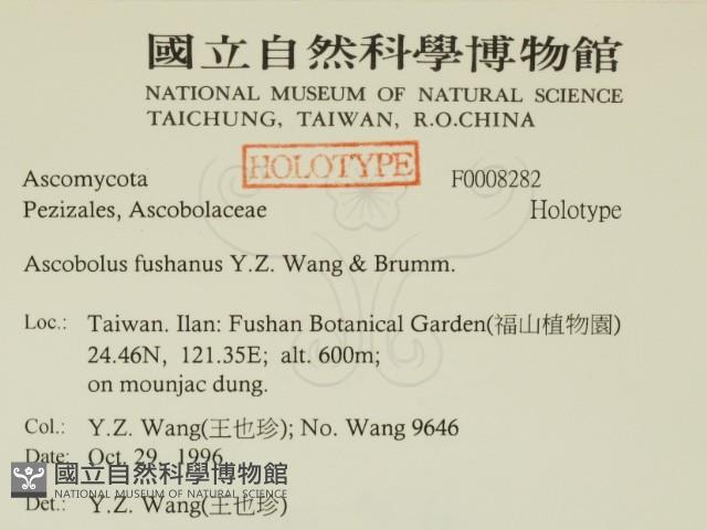 登錄號:F0008282藏品圖，第2張