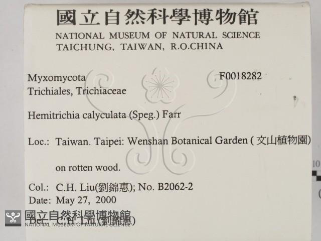 登錄號:F0018282藏品圖，第2張