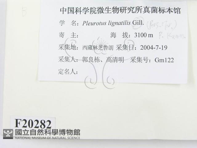 登錄號:F0020282藏品圖，第2張