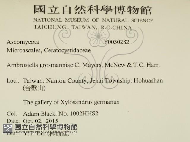 登錄號:F0030282藏品圖，第2張