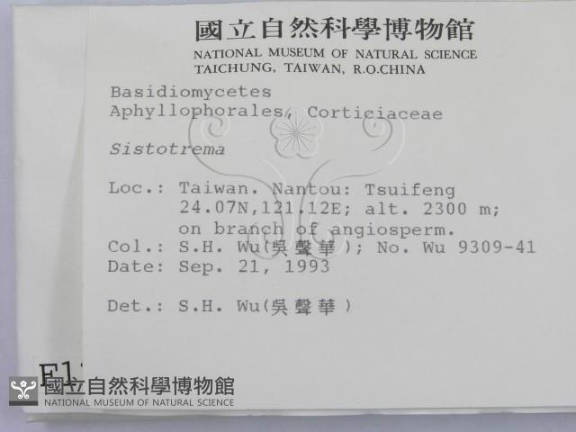 登錄號:F0001282藏品圖，第2張