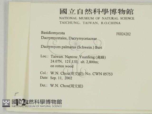 登錄號:F0024282藏品圖，第2張