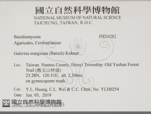 登錄號:F0034282藏品圖，第2張