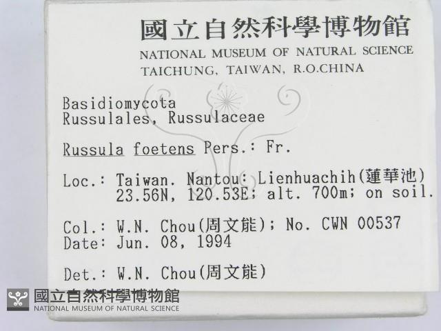 登錄號:F0002282藏品圖，第2張