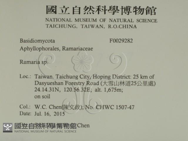 登錄號:F0029282藏品圖，第2張