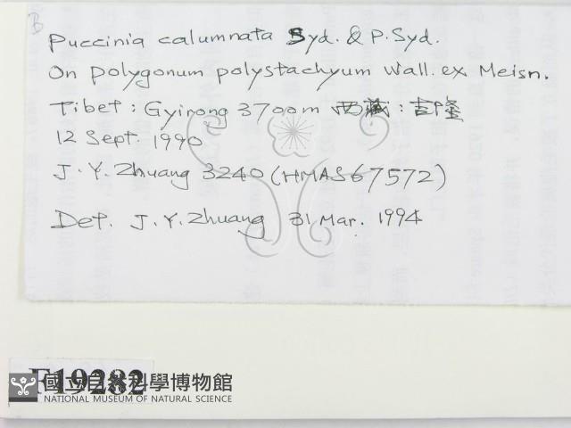 登錄號:F0019282藏品圖，第2張