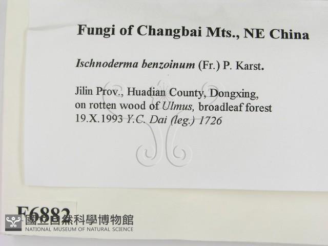 登錄號:F0006882藏品圖，第2張