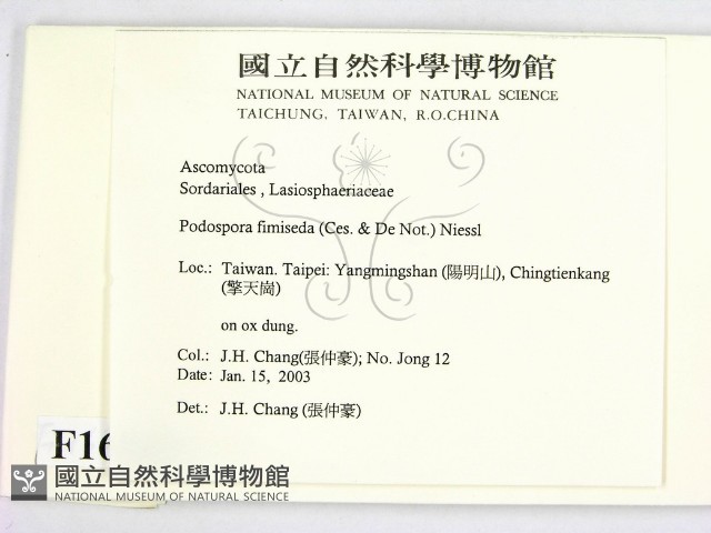 登錄號:F0016882藏品圖，第2張