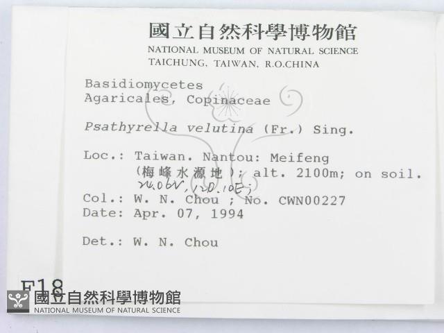 登錄號:F0001882藏品圖，第2張