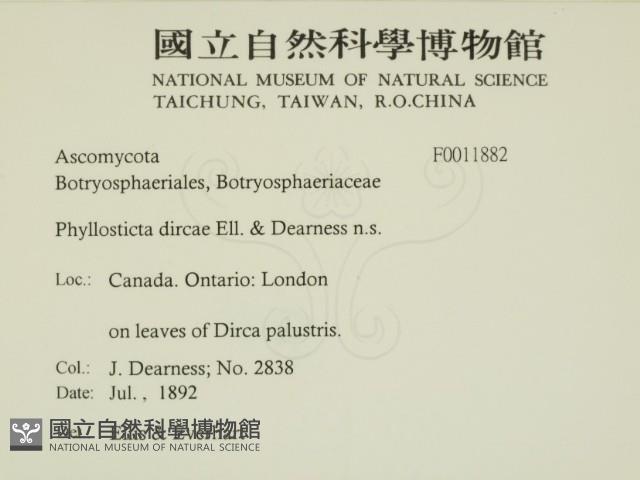 登錄號:F0011882藏品圖，第2張
