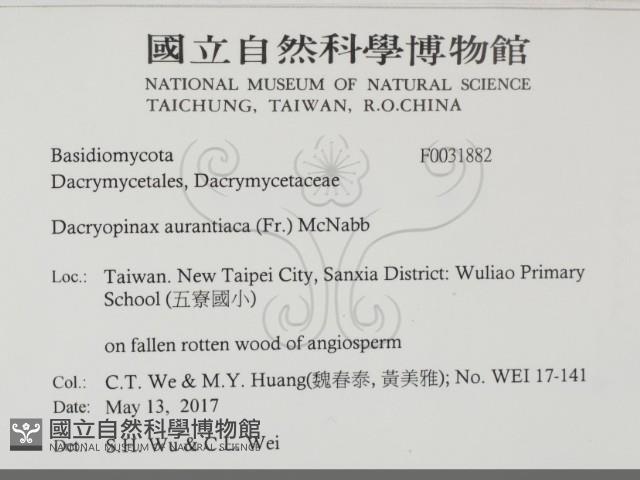 登錄號:F0031882藏品圖，第2張