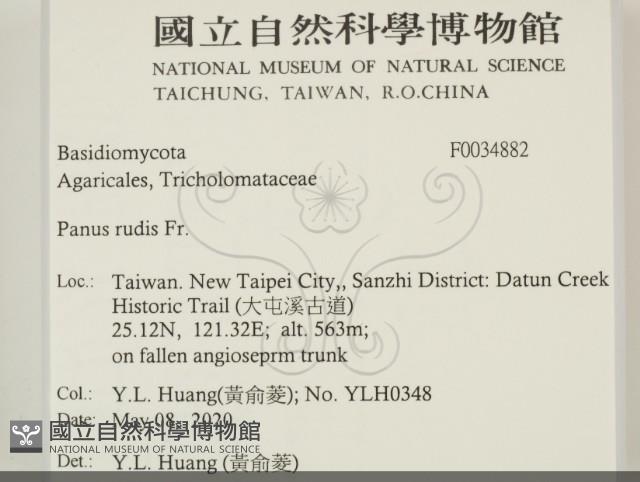登錄號:F0034882藏品圖，第2張