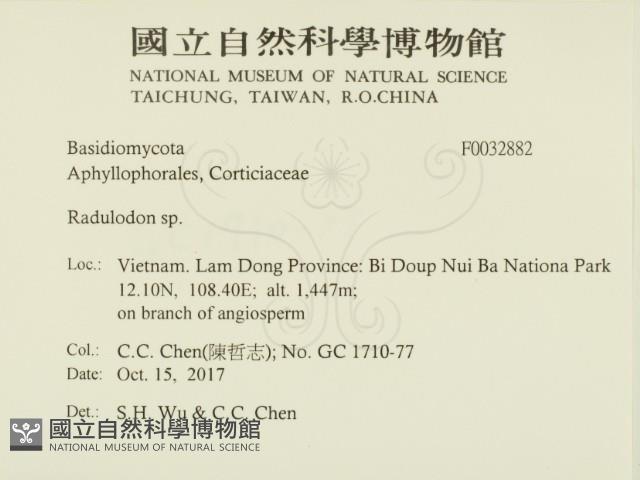 登錄號:F0032882藏品圖，第2張