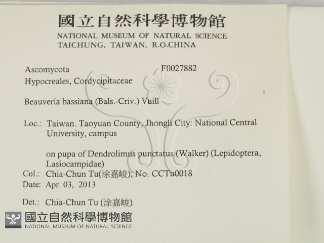 登錄號:F0027882藏品圖，第2張