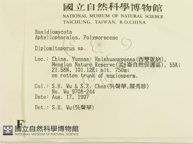 登錄號:F0007882藏品圖，第2張
