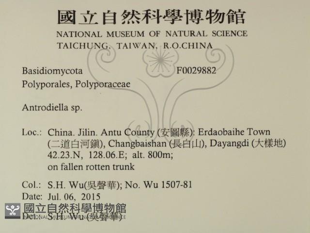 登錄號:F0029882藏品圖，第2張