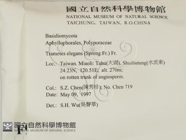 登錄號:F0009882藏品圖，第2張