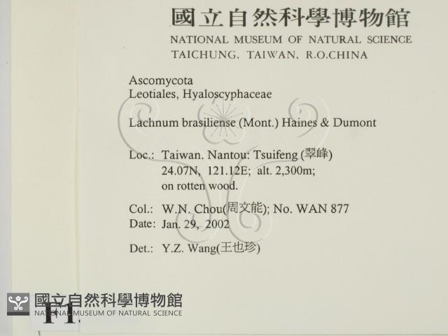 登錄號:F0013882藏品圖，第2張